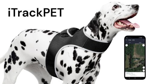 Best Pet Tracker Pet Tracker Waterproof Rechargeable GSM GPS Pet Location Size:XXL