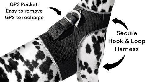 Mini Dog Collar GPS GSM Tracking System Waterproof Fashionable Tracker Size:L