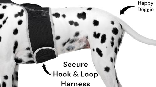 Dog Cat Collar Mount GPS Pets Tracking Device Waterproof GPRS Locator Size:M