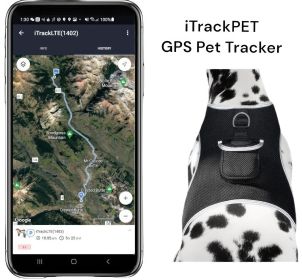 Pet Tracker GPS Dog Tracking Collars Device Realtime Pet Location Spotters Size:L