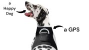 Realtime Waterproof Mini Collar GPS GSM GPRS Tracker for Pet Dog & Cat