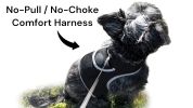 Mini GPS Dog Collar Realtime GSM Tracking Device Wireless Pet Tracker
