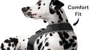 Wireless GPS Tracking Collars for Hunting Dogs Realtime Tracking Tool